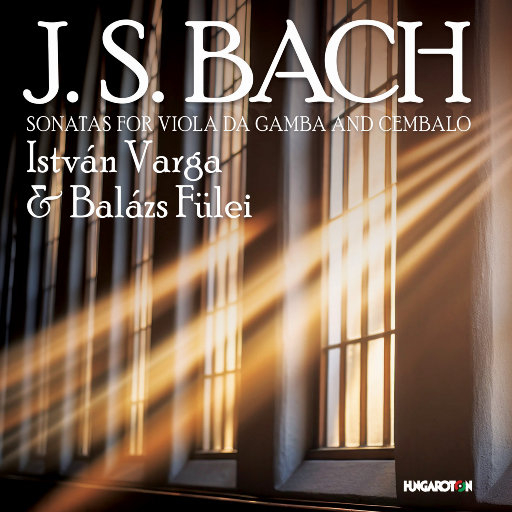 国产语音成人影院
